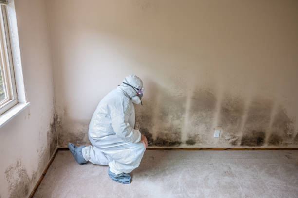 Best Crawl Space Mold Removal  in Oneida, TN